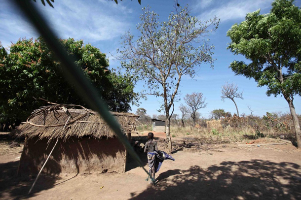 Lamwaka’s father’s heart bleeds daily as he goes through the traumatising routine of tying his own loving daughter to a tree like an animal. Chocking from tears and the anguish, he says that only his two pigs ever received such treatment.