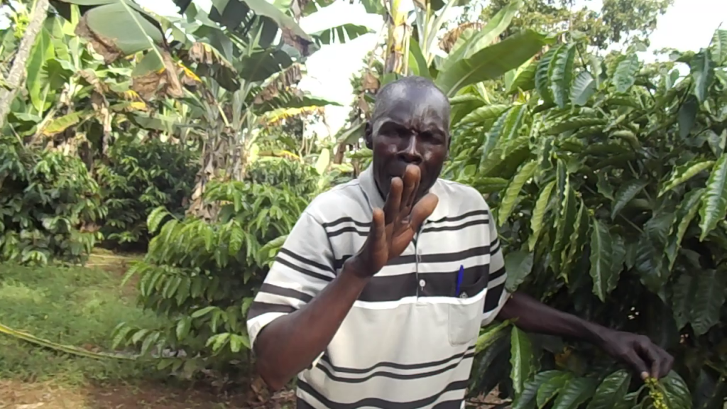 Lamwo Farmers Counts Loses as Heavy Rains Destroy Crops
