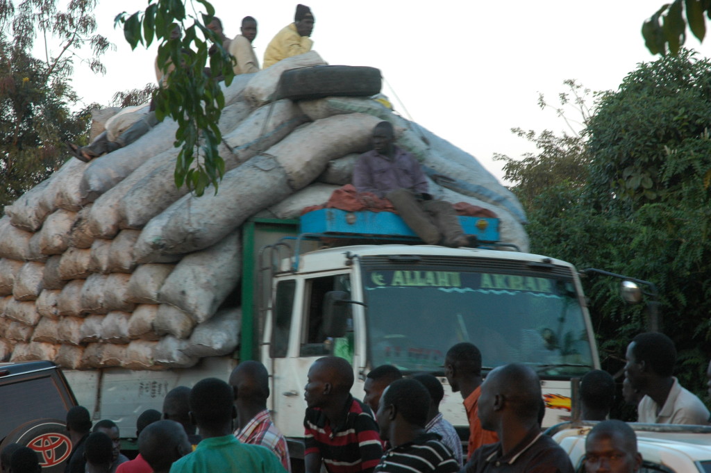 Gulu Leaders Ban Commercial Tree Cutting