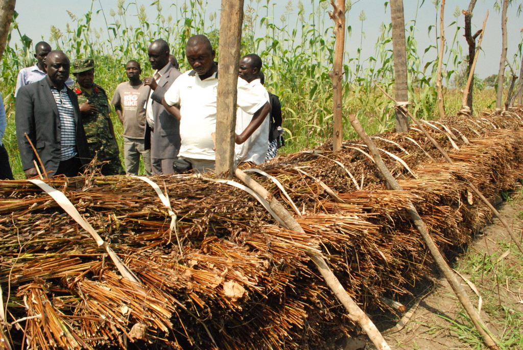 Agriculture Minister Visits  Gulu Farmers, Urges them to Embrace Cooperatives