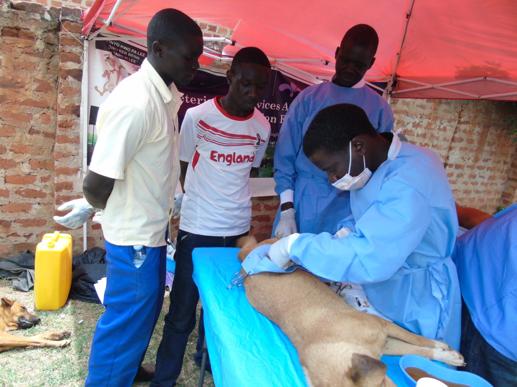 Gulu Gets First Pet Hospital