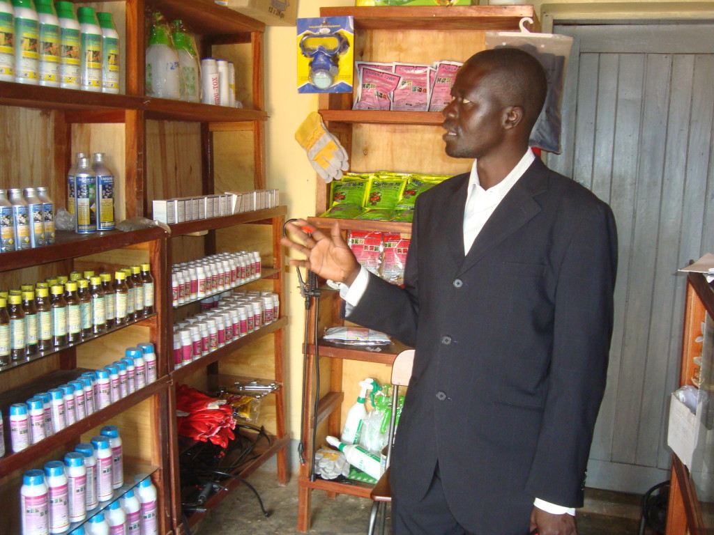 Counterfeit Seeds Demoralize Gulu Small Scale Farmers