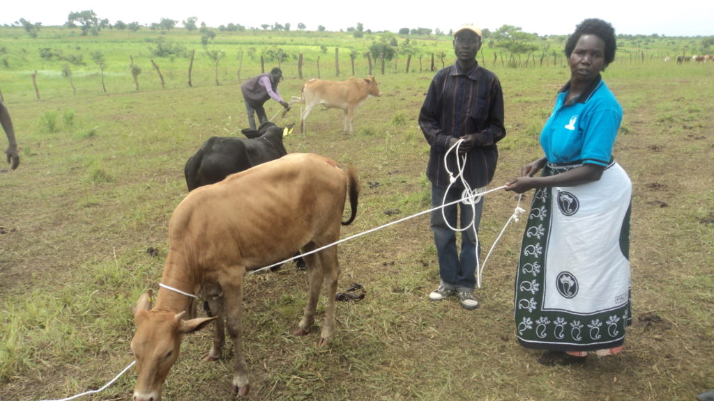 Nwoya Restocking  Companies Hold Supplies Over Debts