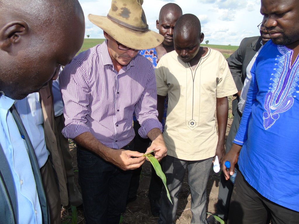 Australian Farmers to Produce 8,000 Tons of Grains in Amuru