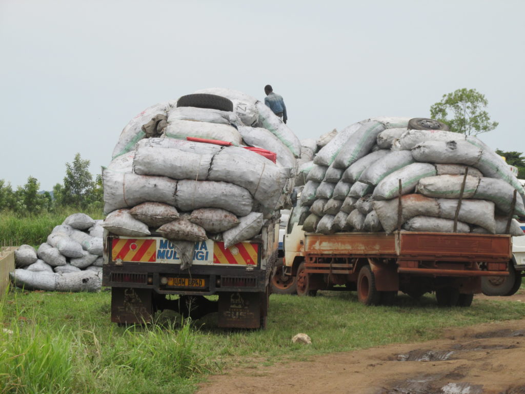 Nwoya District Suspends Issuing of Licences  For  Commerical Exploitatation of  Forest Products