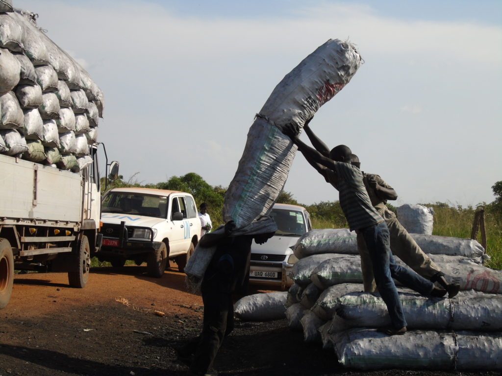 Amuru Officials Slap Ban On Commercial Tree Cutting