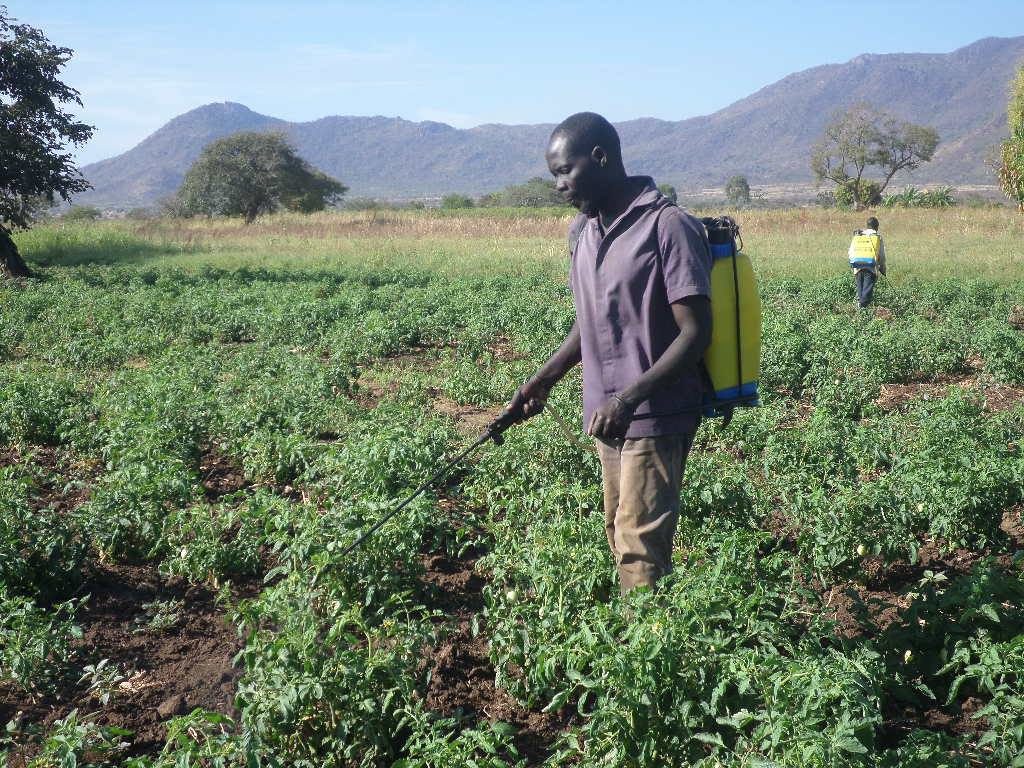 Farmers Ask Government To Rehabilitate Agoro Irrigation Scheme