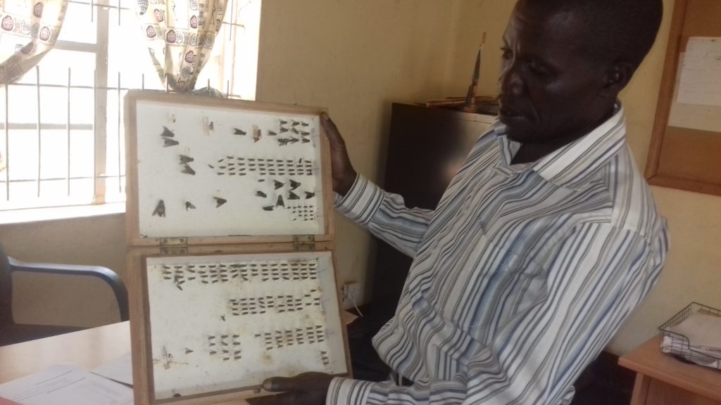 Tse Tse Flies Invades Water Sources In Gulu District