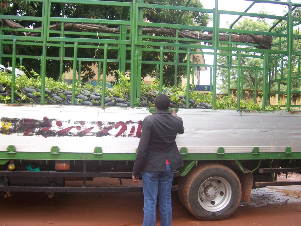 Gulu District Rejects 45,000 Operation Wealth Creation Seeds