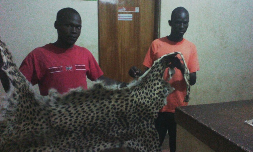 Four Suspected Wildlife Traffickers Arrested In Pader And Agago