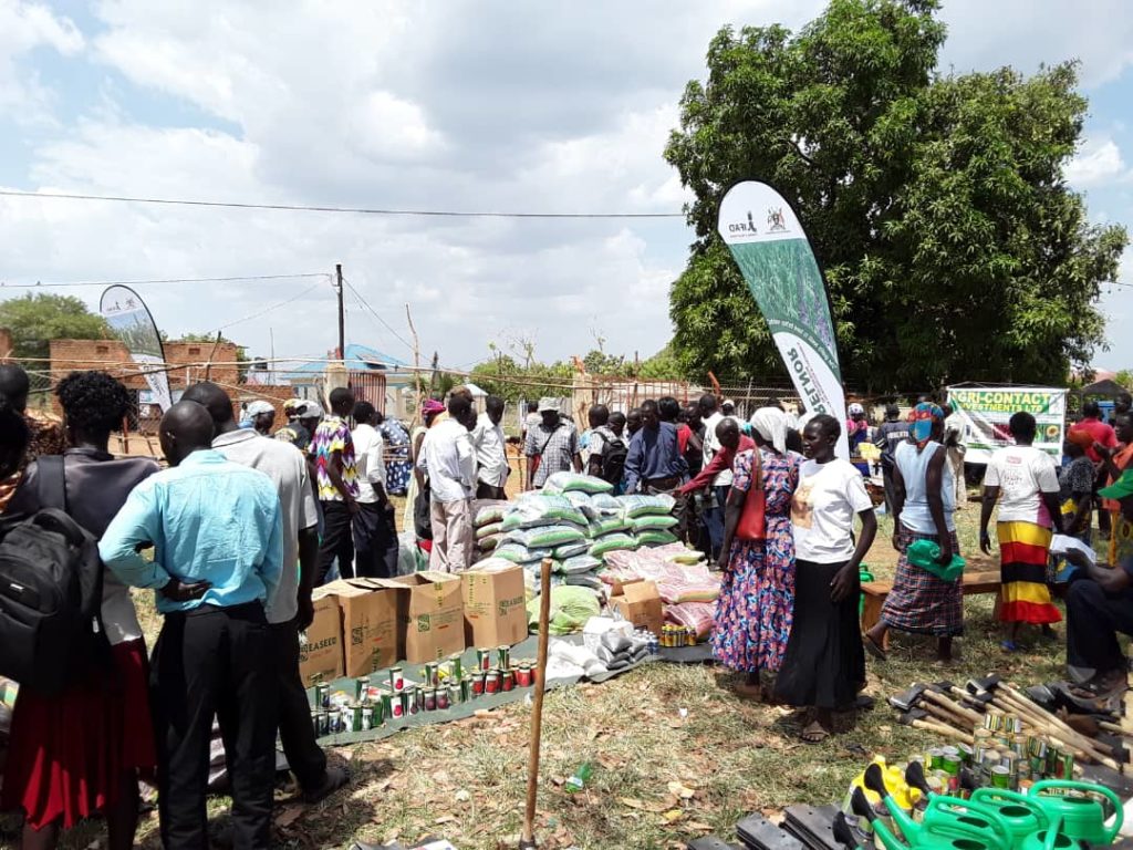 Weather forecast report leaves farmers in Acholi confused