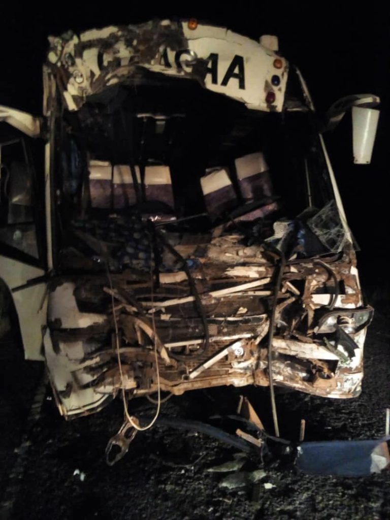 Seven Injured As Bus Knocks Dead Elephant in Nwoya