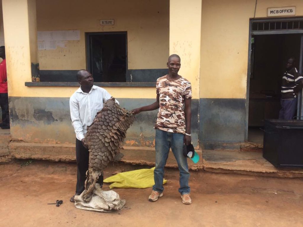Gulu Councillor, His Two Sons, Arrested For Wildlife Trafficking